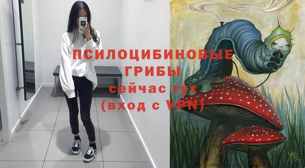 шишки Алексин