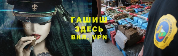 шишки Алексин